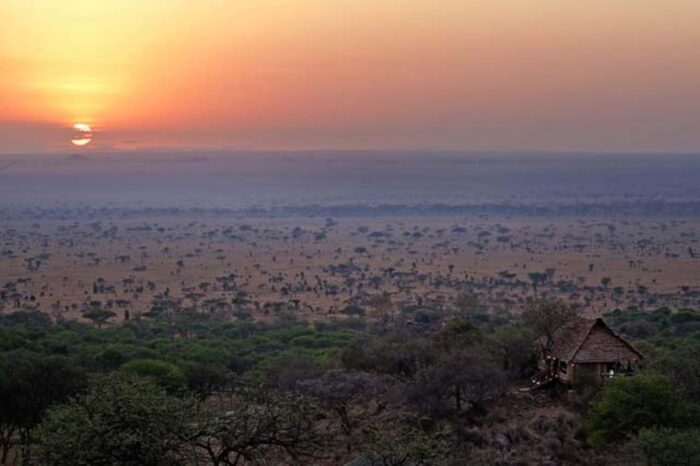 Cedarberg Travel | Serengeti Pioneer Camp by Elewana