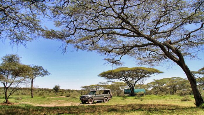 Cedarberg Travel | Alex Walker's Serian - Serengeti Mobile Camp