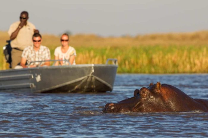 Cedarberg Travel | Shumba Camp