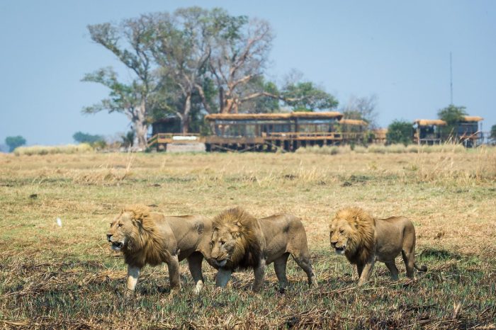 Cedarberg Travel | Shumba Camp