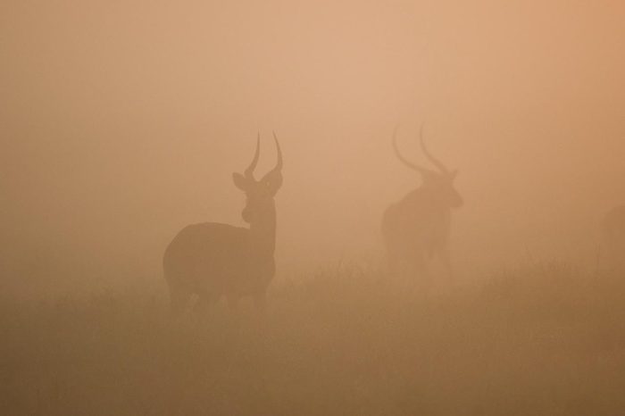 Cedarberg Travel | Shumba Camp