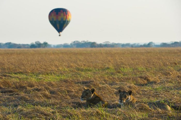 Cedarberg Travel | Shumba Camp