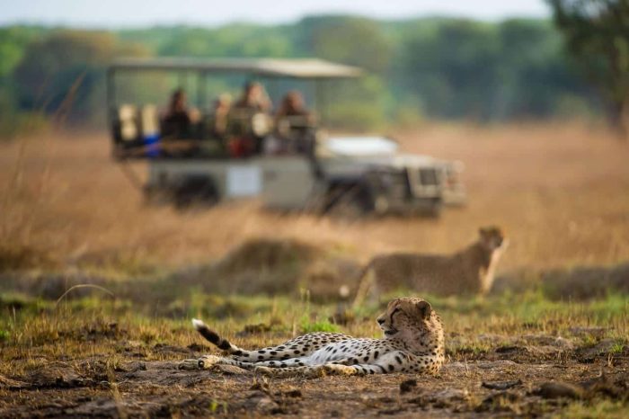 Cedarberg Travel | Shumba Camp