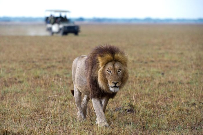Cedarberg Travel | Shumba Camp