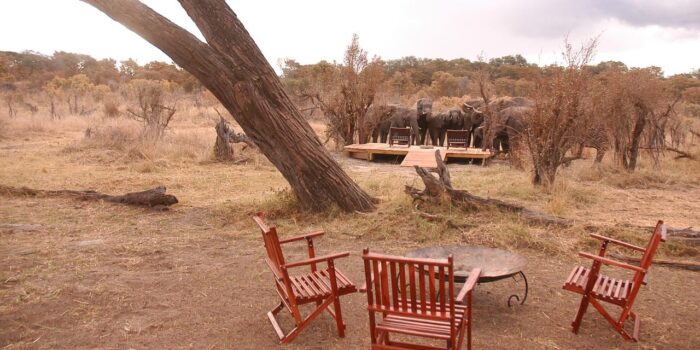 Cedarberg Travel | Somalisa Acacia Camp