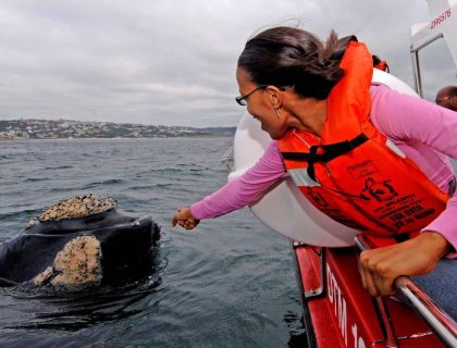 Garden Route  Attractions:  20 Things to Do with Children