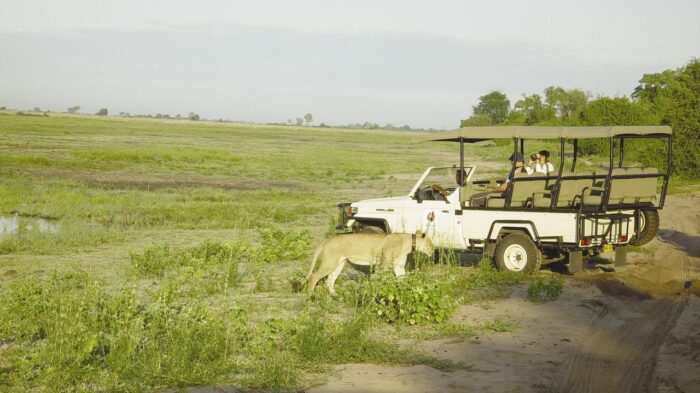 Cedarberg Travel | Avani Victoria Falls Resort