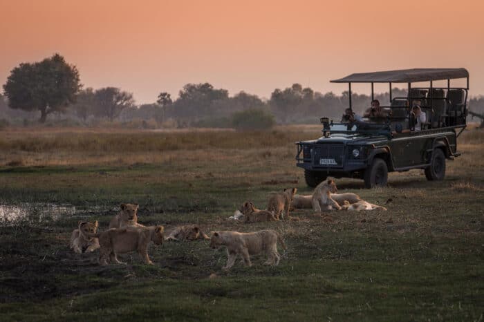 Cedarberg Travel | Chitabe Camp