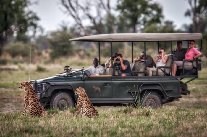 Cedarberg Travel | Chitabe Camp