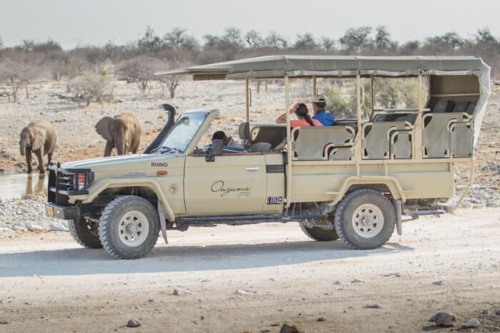 Cedarberg Travel | Onguma Forest Camp