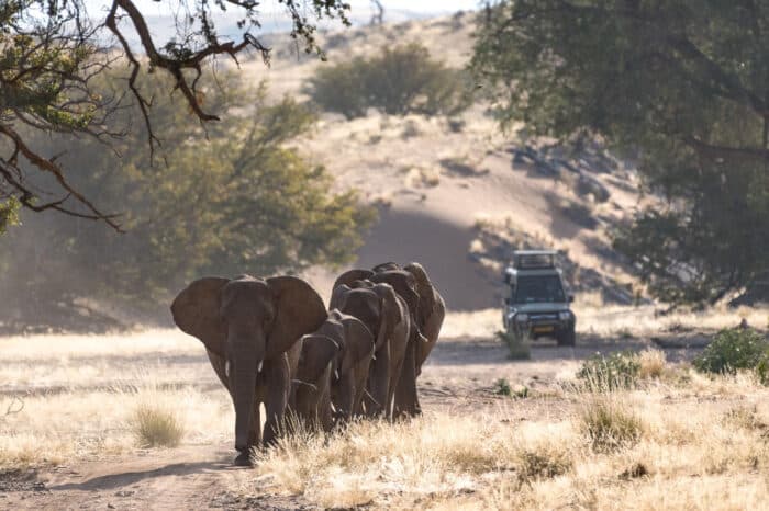 Cedarberg Travel | Damaraland Camp