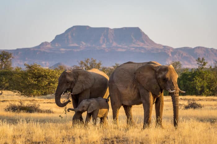 Cedarberg Travel | Damaraland Camp