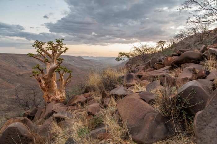 Cedarberg Travel | Grootberg Lodge