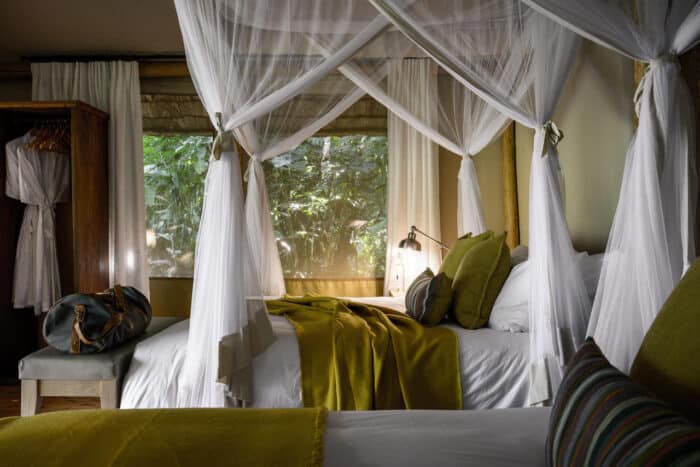 Cedarberg Travel | Sanctuary Gorilla Forest Camp