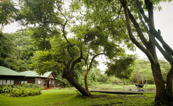 Cedarberg Travel | Mount Meru Game Lodge