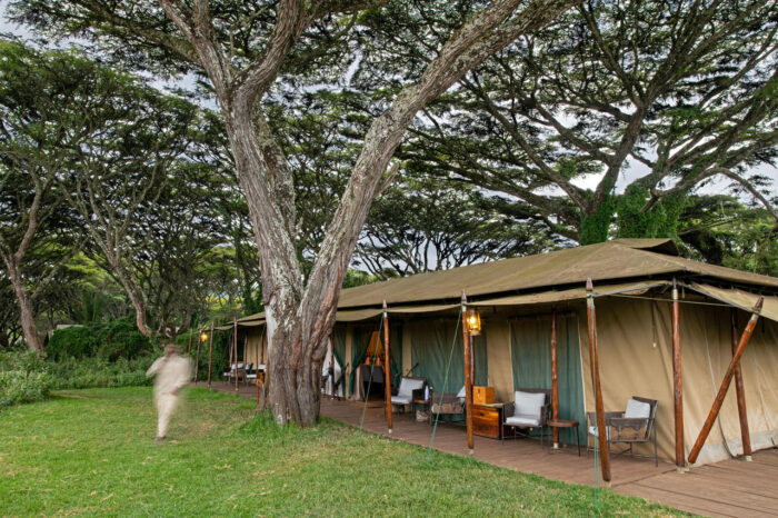 Cedarberg Travel | Lemala Ngorongoro Tented Camp