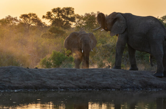 Cedarberg Travel | Etosha Safari Lodge