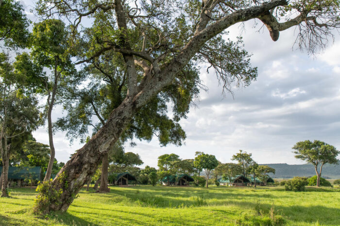 Cedarberg Travel | Little Governors' Camp