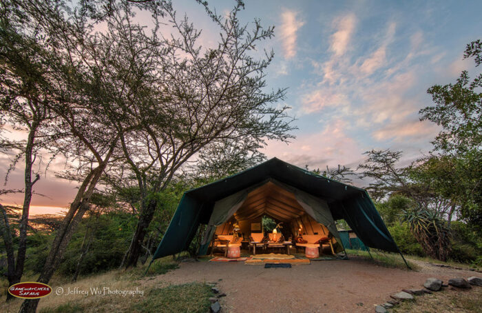 Cedarberg Travel | Porini Mara Camp