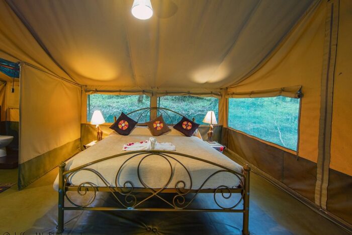 Cedarberg Travel | Nairobi Tented Camp