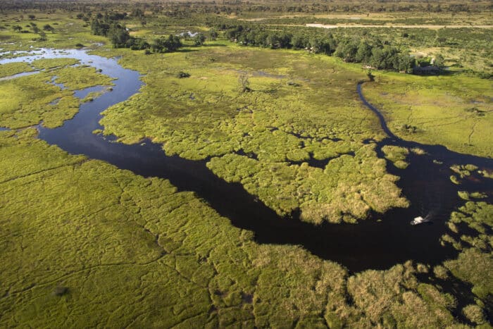 Cedarberg Travel | Duba Plains Camp