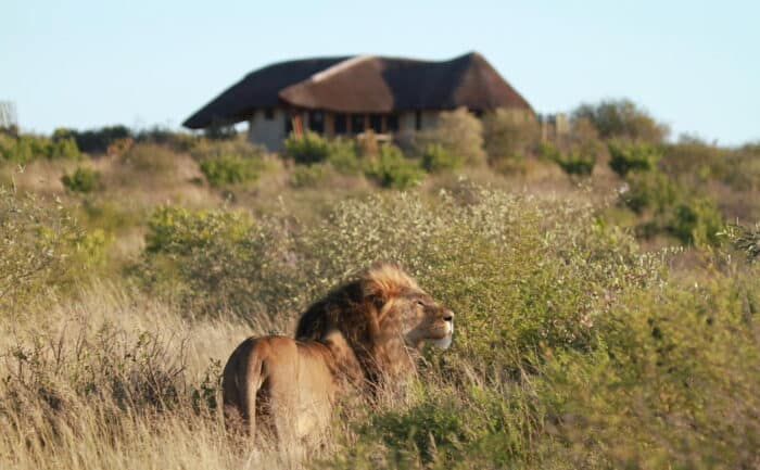 Cedarberg Travel | Kwando Tau Pan Camp