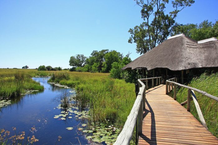 Cedarberg Travel | Kwando Lebala Camp