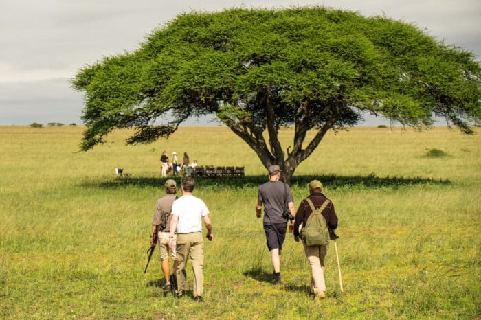 Cedarberg Travel | Ol Donyo Lodge