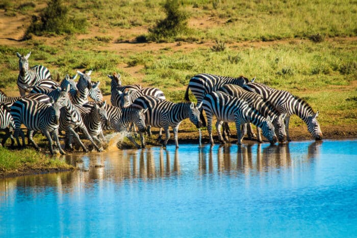 Cedarberg Travel | Ol Donyo Lodge