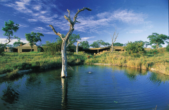 Cedarberg Travel | Sabi Sabi Earth Lodge