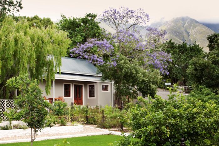 Cedarberg Travel | Schoone Oordt Country House