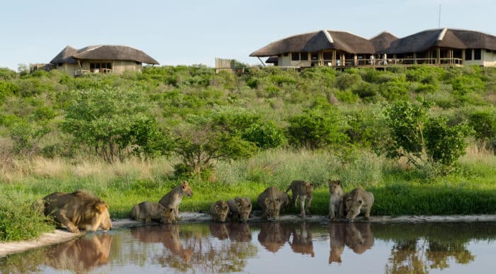 Cedarberg Travel | Kwando Tau Pan Camp