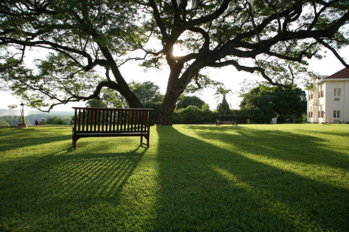 Cedarberg Travel | Victoria Falls Hotel