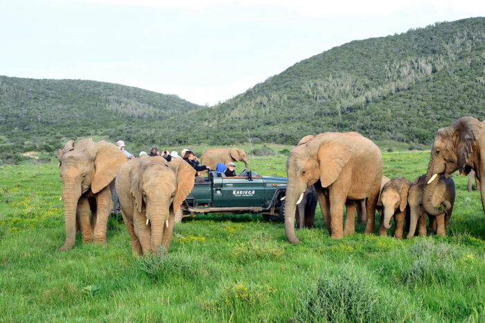 Cedarberg Travel | Kariega River Lodge