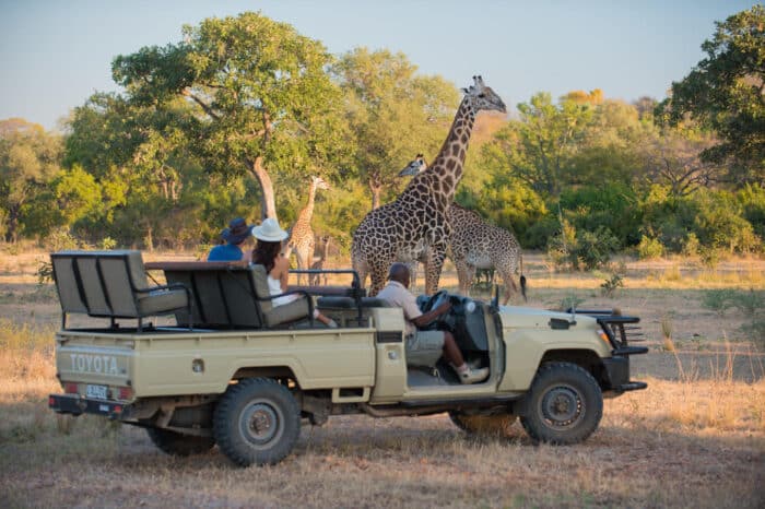 Cedarberg Travel | Nkwali Camp