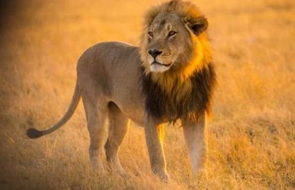 Namibia Fly-In with Skeleton Coast