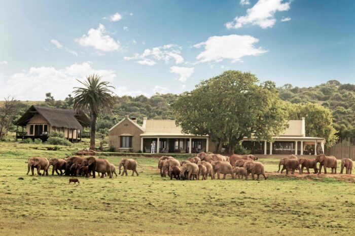 Cedarberg Travel | Gorah Elephant Camp