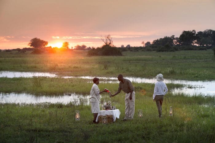 Cedarberg Travel | Duba Plains Camp