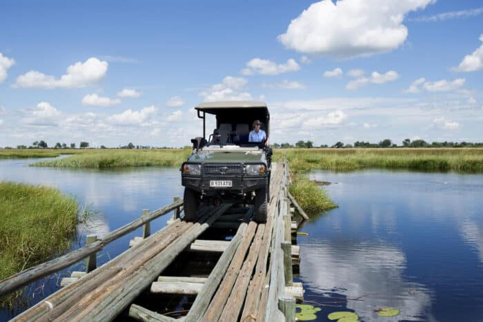 Cedarberg Travel | Duba Plains Camp