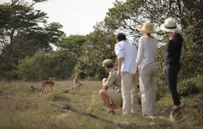 Cedarberg Travel | andBeyond Phinda Vlei Lodge