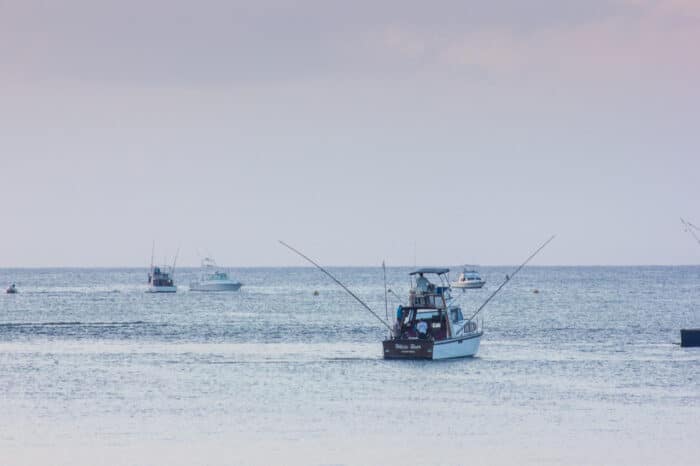 Cedarberg Travel | Hemingways Watamu