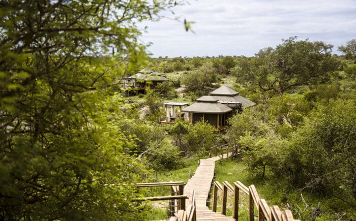 Cedarberg Travel | Simbavati Hilltop Lodge