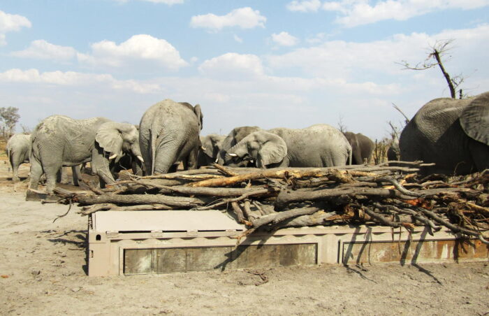 Cedarberg Travel | Hyena Pan Tented Camp