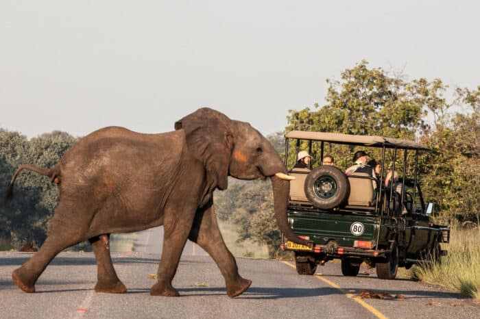 Cedarberg Travel | Chobe Safari Lodge