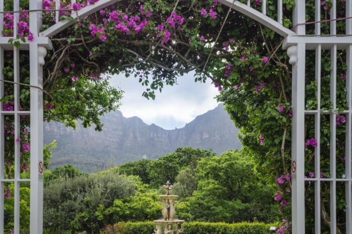 Cedarberg Travel | Vineyard Hotel & Spa