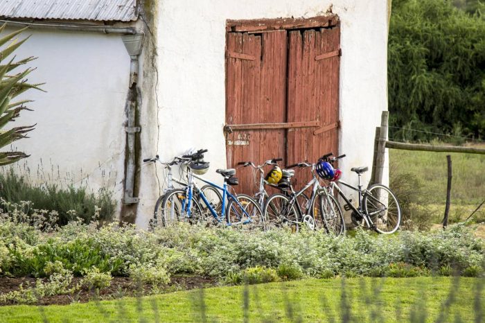 Cedarberg Travel | Swartberg Country Manor