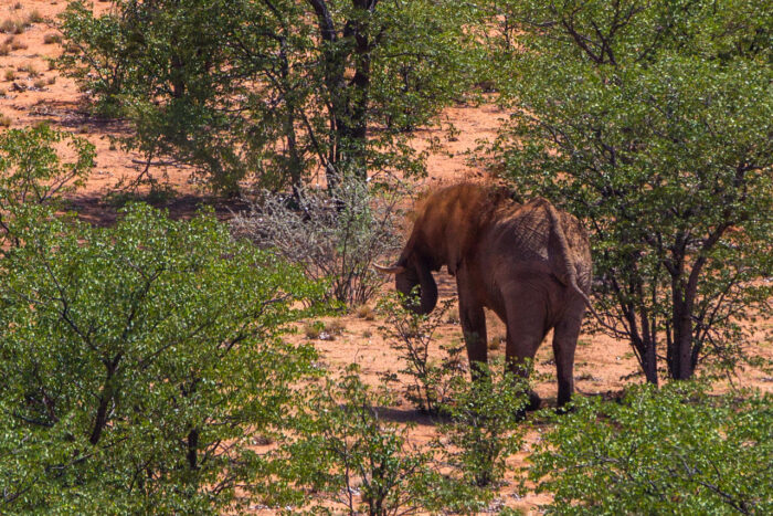 Cedarberg Travel | Grootberg Lodge