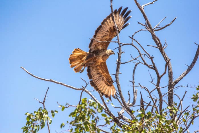 Cedarberg Travel | Grootberg Lodge