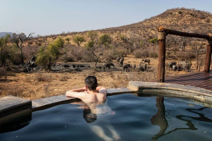 Cedarberg Travel | Impodimo Game Lodge