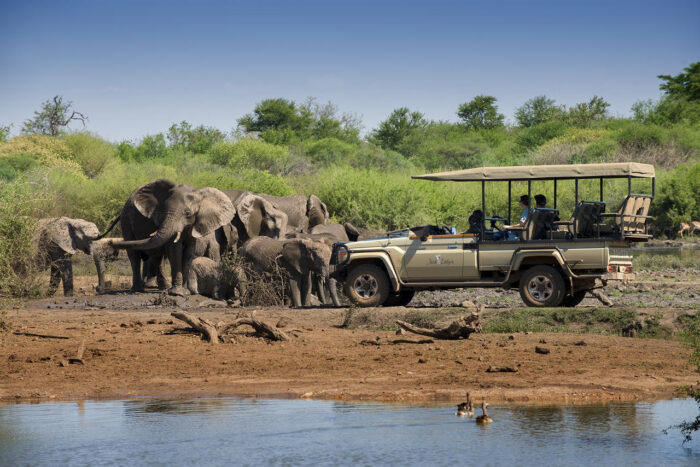 Cedarberg Travel | Jaci's Safari Lodge